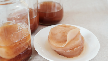 Kombucha-scoby-esprit-d-abondance