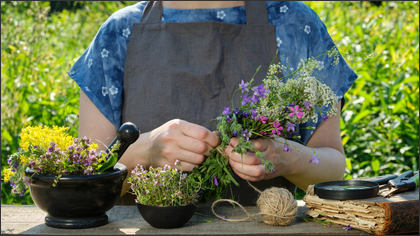 Les-plantes-plus-que-vivantes-esprit-d-abondance