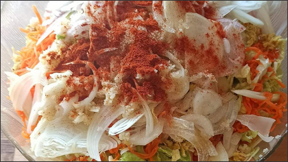 kimchi-lactofermentation