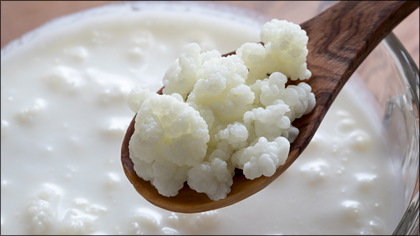 kefir-de-lait